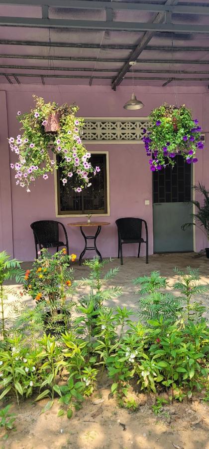 דירות סיאם ריפ The Purple House חדר תמונה